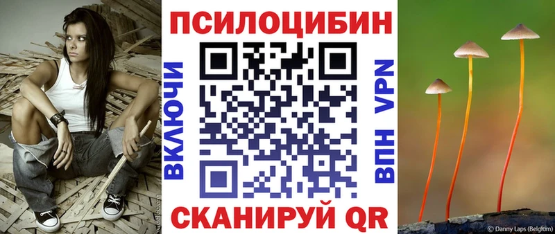 Купить где  Белинский  Галлюциногенные грибы Psilocybine cubensis 